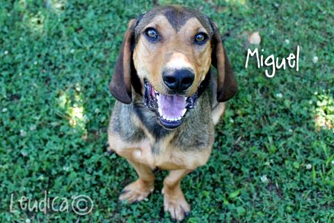 Miguel
